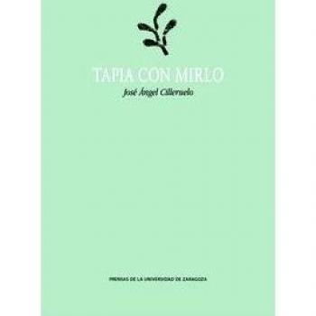 Tapia con Mirlo