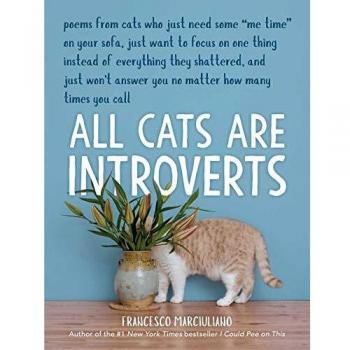 All Cats Are Introverts