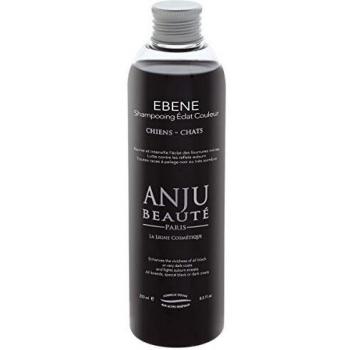 SHAMPOING ECLAT EBENE ANJU 250 ML