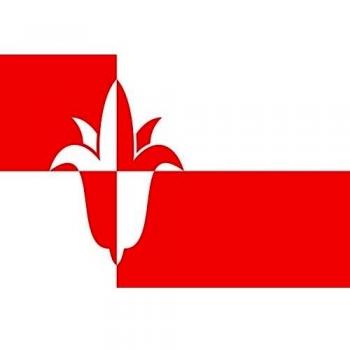 Bernheze | Dutch municipality of Bernheze Twee banen vanaf wisselende kleuren Bandera 20x30cm para Diplomat-Flags Banderas de Coche