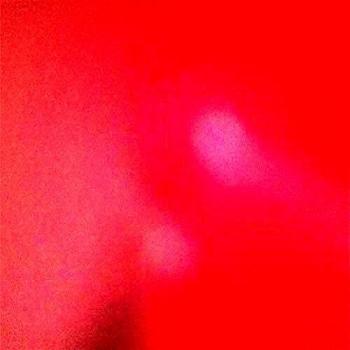 The Incessant [Vinilo]