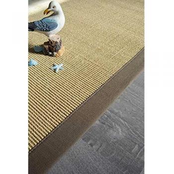 Alfombra de sisal Yucatán sable 200 x 290 cm con trenza topo