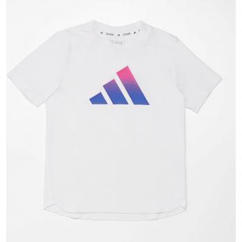 Camiseta Niño adidas Icons Aeroready Blanca