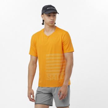 Camiseta de hombre Salomon Sense Aero GFX manga corta naranja - XXL