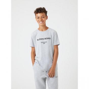 Björn Borg Borg Logo T-shirt Grey, Size 134-140