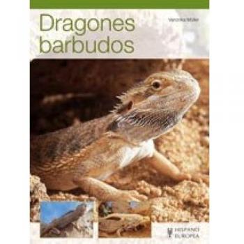 Dragones barbudos