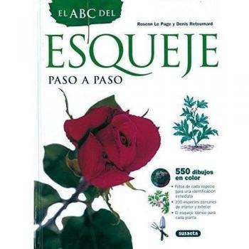 Abc Del Esqueje Paso A Paso