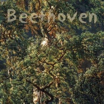 Beethoven : Sonates pour violoncelle et pianoforte. Solum, Fossheim.
