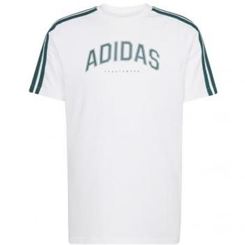 Camiseta Adidas Codes Collegiate Linear Gráfica de Hombre, Blanco y Verde, Talla S