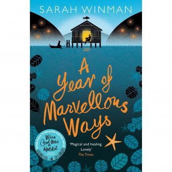 A Year of Marvellous Ways: From the bestselling author of STILL LIFE