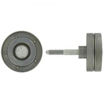 Polea Correa Multiv Skf Vkm 31098