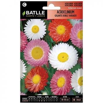 Semillas de Flores - Acroclinium Gigante doble variado - Batlle