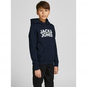 Jack & Jones Kids Corp Logo Hoodie Pack of 2