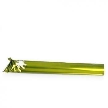 PAPEL REGALO COLIBRI 30x30 VERDE ACIDO M