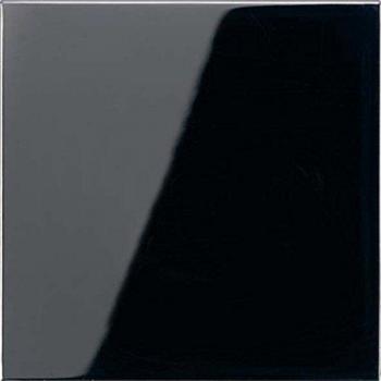 Pulsador 2 canales LS990 para EnOcean negro