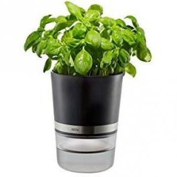 Gefu Botanico Maceta para Hierbas