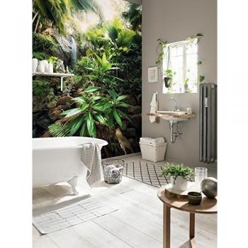 Komar 1 – Live – 527 184 x 248 cmNational Geographic Seychelles Praslin Vallée De Mai Spirit Scenic Mural – 