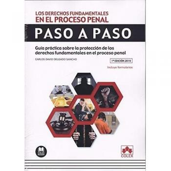 Los derechos fundamentales en el proceso penal. Paso a paso: Guía práctica sobre la protección de los derechos fundamentales en el proceso penal: 1