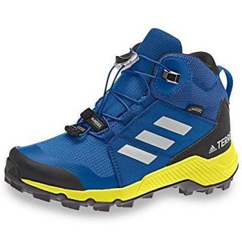 Adidas Terrex Mid GTX K, Unisex Niño Adulto, Multicolor