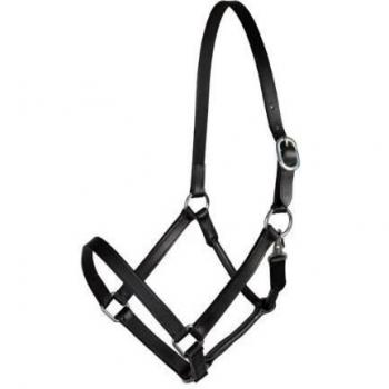 PFIFF Basic Line Piel – Cabestro, Negro COB