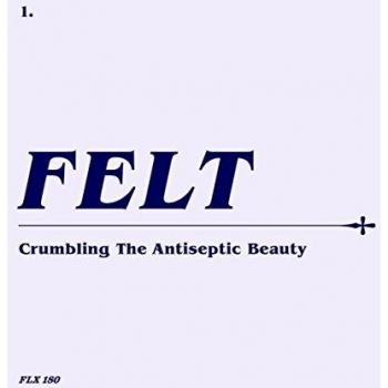 Crumbling The Antiseptic Beauty