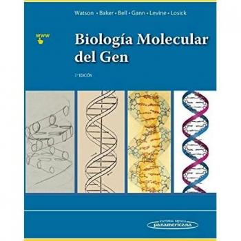 Biologia molecular del gen