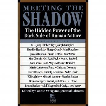 Meeting the Shadow: Hidden Power of the Dark Side of Human Nature