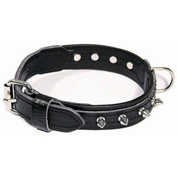 Collar de cuero de vaca con remaches para perro Martin Sellier (30, 50 cm) - Incluye collar y correa