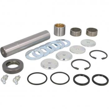 Kit de reparación pivote del muñón del eje CEI 230100