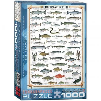 Eurographics Freshwater Fish Puzzle - 1000 Pieces (6000-0312)