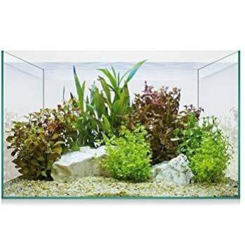 ICA Kit Aquascape Basic 8 6.8 ml