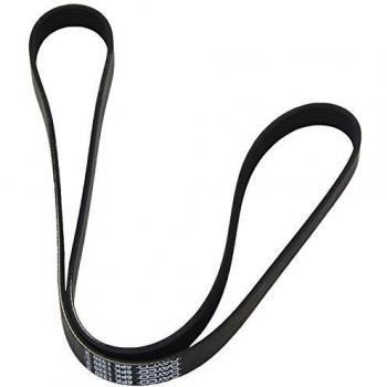 Dayco 6PK1320 Correa Trapecial Poli V