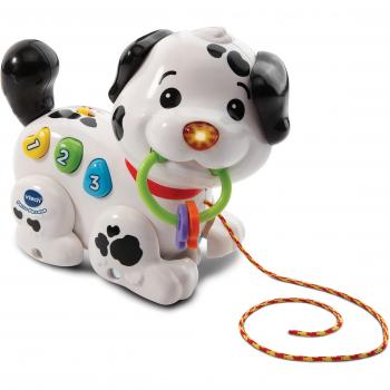 VTech Perruno Interactivo con Voz, Sonidos y Melodías, Multicolor, Talla Única