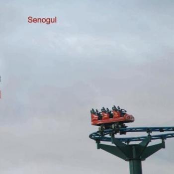 Senogul [Vinilo]