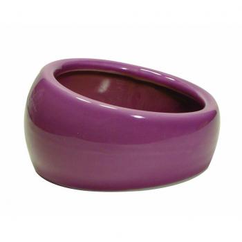 Living World Comedero Ergonómico Pequeño, Color Rosa