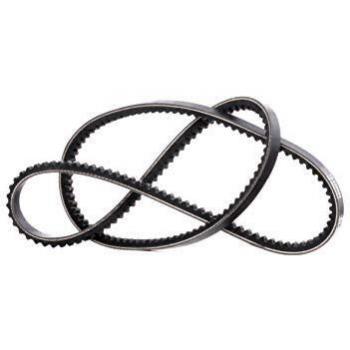 Dayco 10A1175C Correa Trapezoidal