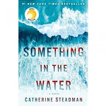 Something in the Water: A Psychological Thriller Novel
