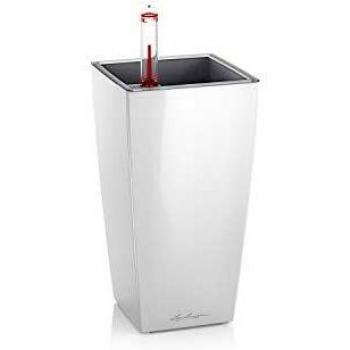 Lechuza Maceta, Mini Cubi Premium