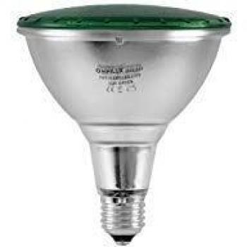 Omnilux - Par-38 230v smd 15w e-27 led verde