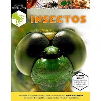 Insectos