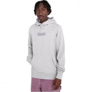 Element - Sudadera de hombre Dial con capucha gris