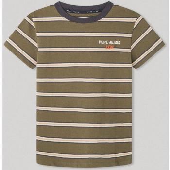 Camiseta de niño Pepe Jeans con estampado de rayas en color verde