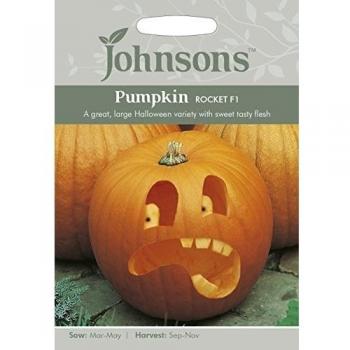 Johnsons UK/Jo/VE calabaza Rocket F1