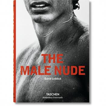 Male Nude
