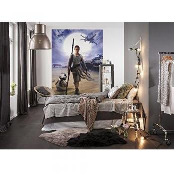 Komar 1 – Mural de Papel Pintado de Star Wars Rey, Multicolor, 4 Piezas