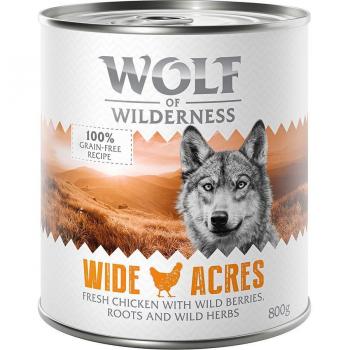 Wolf of Wilderness 24 x 800 g - Pack Ahorro Variado (Blue River con pescado, Wide Acres con pollo)