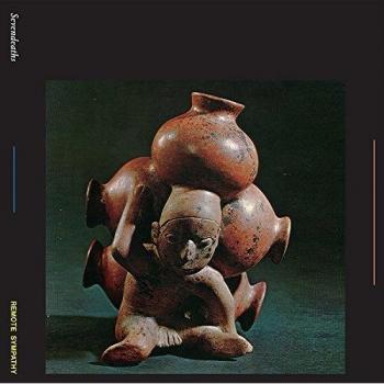 Remote Sympathy VINYL