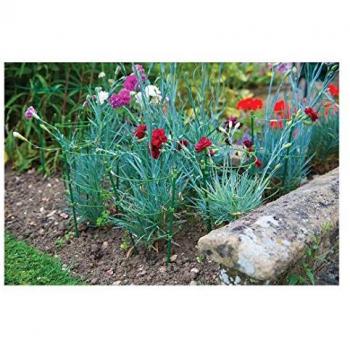 Soporte para Plantas Silverline 3 Aros 450 mm