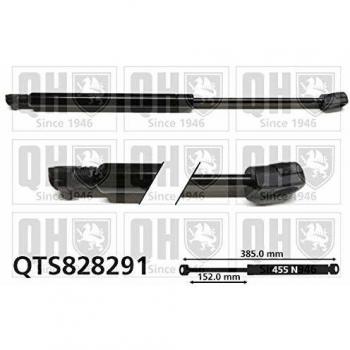 Amortiguador de maletero Quinton Hazell Renault QTS828291 8200385560
