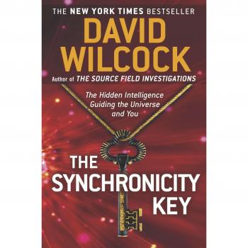The Synchronicity Key: Unlocking Universal Intelligence and Personal Guidance by David Wilcock